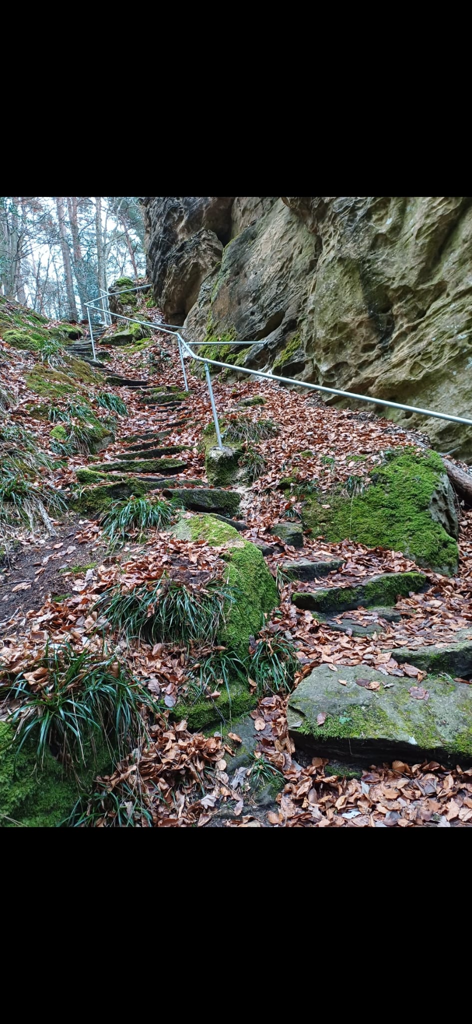 Natursteintreppe mit Handlauf am Felsen
