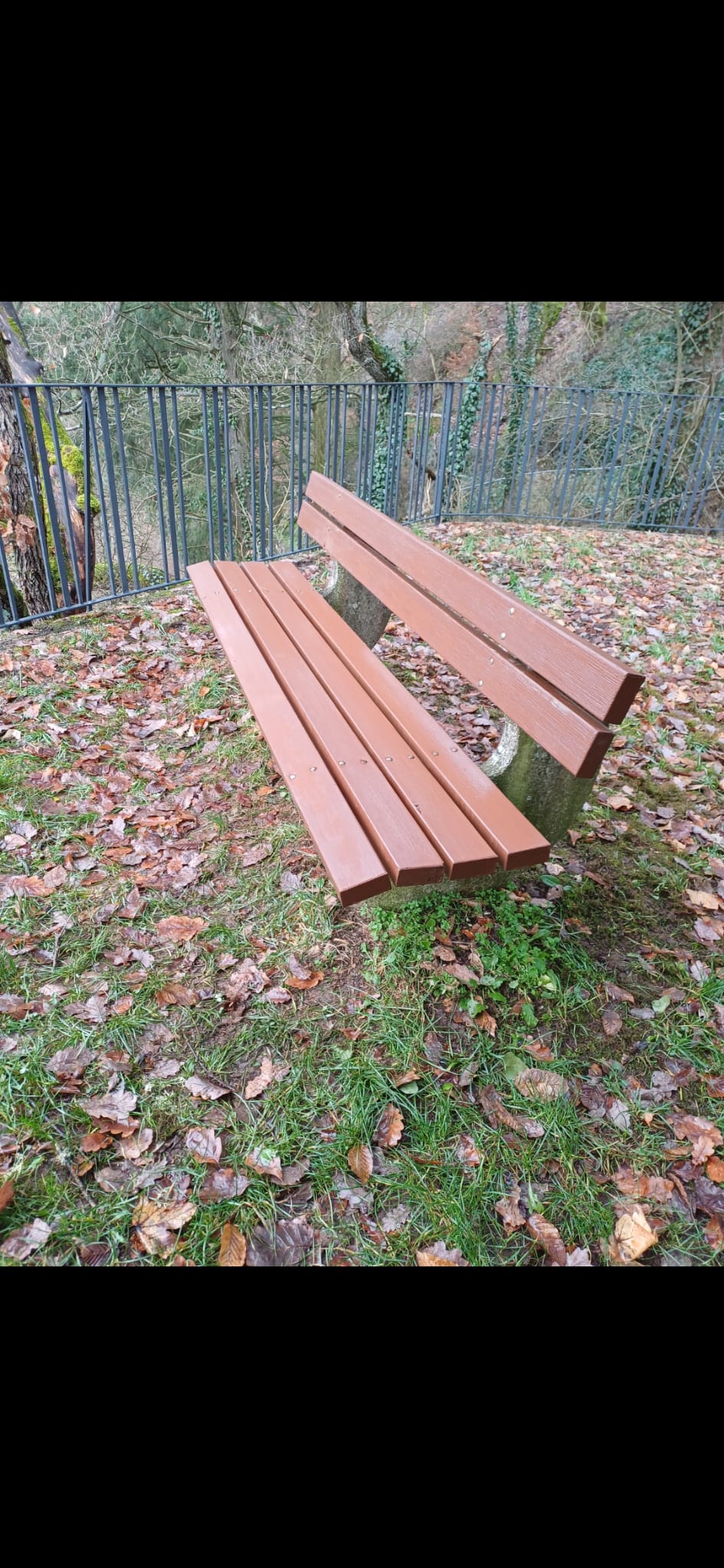 Holzsitzbank im Grünen