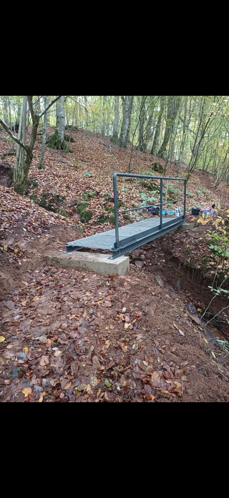 Metallbrücke im Wald